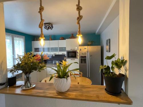 Kuchyň nebo kuchyňský kout v ubytování Grande villa familiale à 5 min des plages en voiture - 4 chambres - wifi - clim - stationnement facile - grande cour