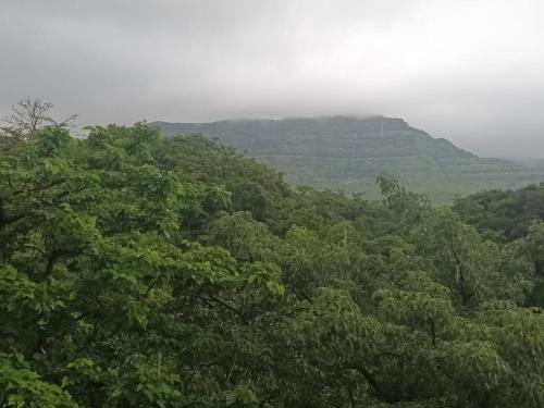 una vista de un bosque de árboles con montañas en el fondo en Girijalsrushti Mountain Stream View Villa, en Kolvan