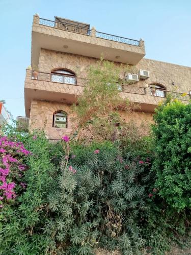 Κήπος έξω από το Luna Nile