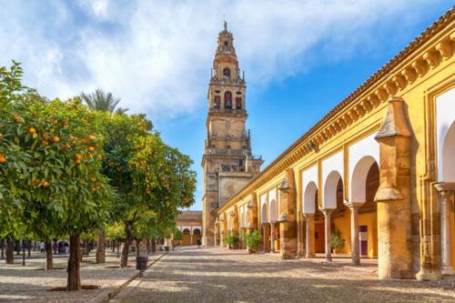 DS El rincón de Ravé