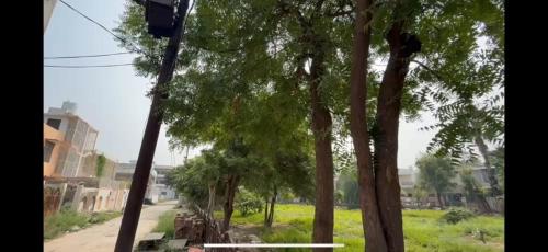 Un jardín fuera de Women Pilgrim's Abode