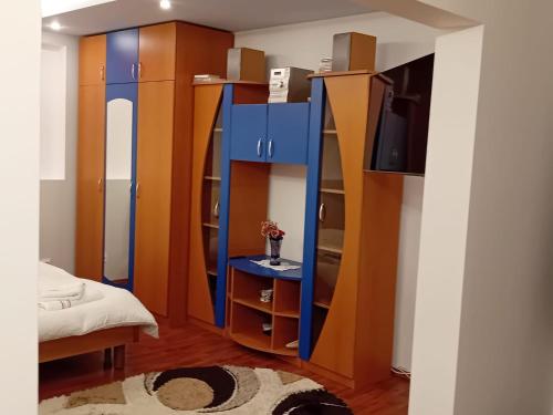 a room with blue and brown shelves and a tv at Elixir studio in Bucharest