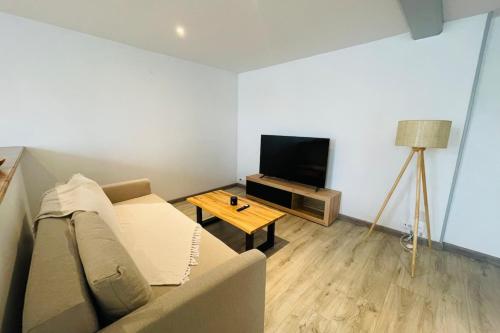 a living room with a couch and a television at La Maison de la Brousse in Brizambourg