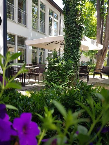 Κήπος έξω από το Kolping-Hotel