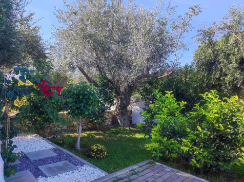 アファンドウにあるRhodes Soul luxury suitesの大木と茂みのある庭園