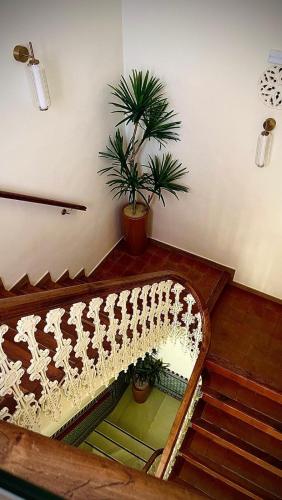 a staircase with a potted plant on top of it at Puerta de la Ribera Centro in Córdoba