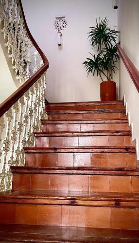 a set of stairs with a potted plant at Puerta de la Ribera Centro in Córdoba