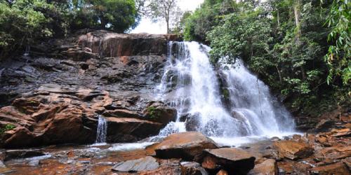 einem Wasserfall inmitten eines Waldes in der Unterkunft Vanashree Homestay Galamudi in Sringeri