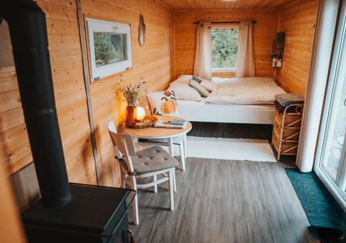 ein Zimmer mit einem Bett und einem Tisch in einem winzigen Haus in der Unterkunft Maringotka Votavka in Borovy