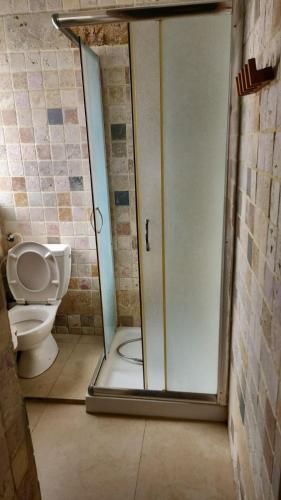 a bathroom with a toilet and a shower stall at The stone house by the river וילה ליד הנחל in Dafna