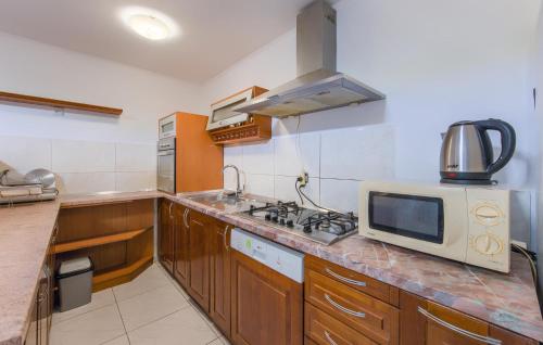Η κουζίνα ή μικρή κουζίνα στο Awesome Apartment In Vodnjan With Wifi