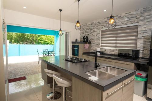 una cocina con fregadero y encimera en The Blue Nest, en Dorp Sint Michiel