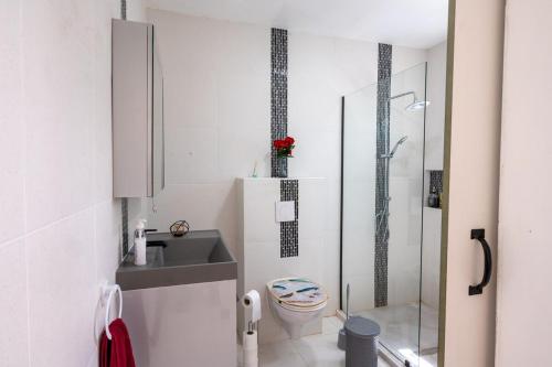 a small bathroom with a toilet and a shower at The Blue Nest in Sint Michiel