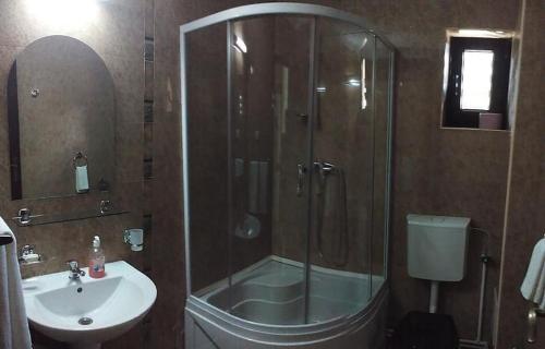 a bathroom with a shower and a sink at Zori de Zi & Apus de Soare in Bălceşti