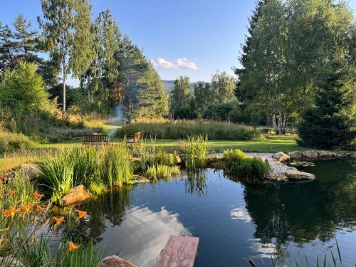 a pond in a park with a bench and trees at Malá jurta na Souvrati in Mostek