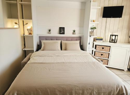 a bedroom with a large bed in a room at Studio Vue sur le Lac d'Annecy Plage et Parking Privés in Duingt