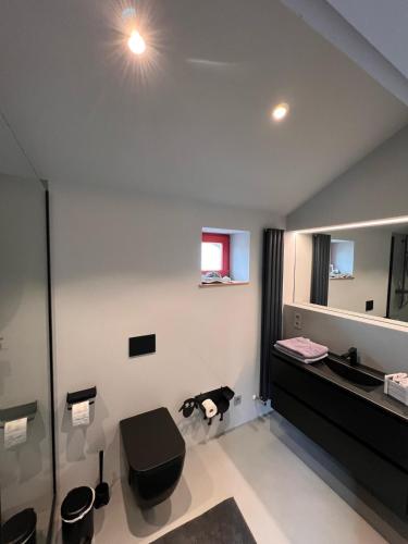 a bathroom with a sink and a toilet and a mirror at Künstlerhaus Vulkaneifel in Mückeln