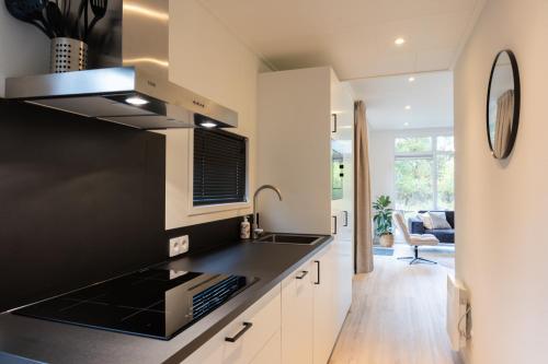 una cocina con fregadero y estufa horno superior en Chalet Vlinder, en Haarle
