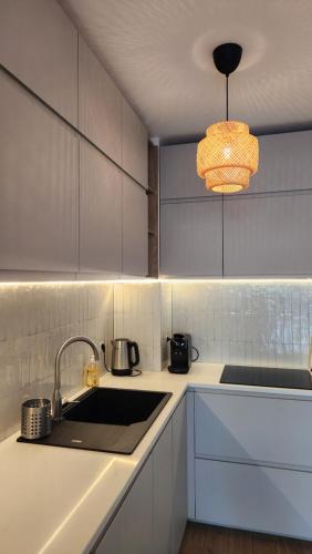 Kuchyň nebo kuchyňský kout v ubytování Appartement Calvi, Cœur de ville, plage à 300 m