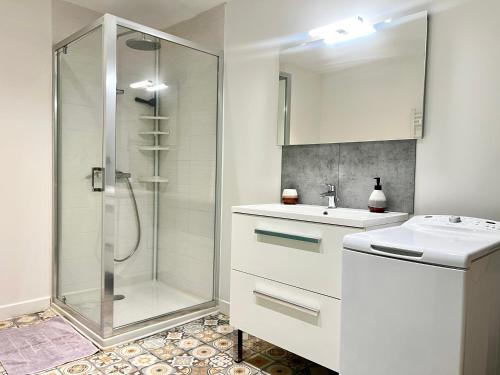 Un baño blanco con lavabo y ducha. en Le souvenir Spacieux t2 aux portes du Futuroscope, en Saint-Georges-lès-Baillargeaux