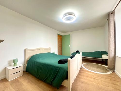 Un dormitorio con una cama con un edredón verde. en Le souvenir Spacieux t2 aux portes du Futuroscope, en Saint-Georges-lès-Baillargeaux