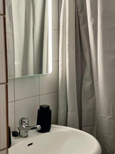 a bathroom with a sink with a mirror and a shower curtain at Chari's Apartment in Tríkala