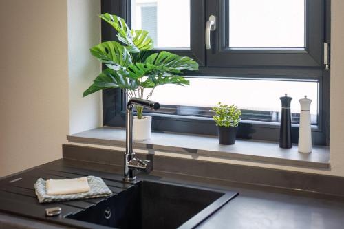 a kitchen sink with plants in a window at Heimbi-Home No 3, 4-6 Pers, EuropaPark, E-Ladesäule in Kappel-Grafenhausen