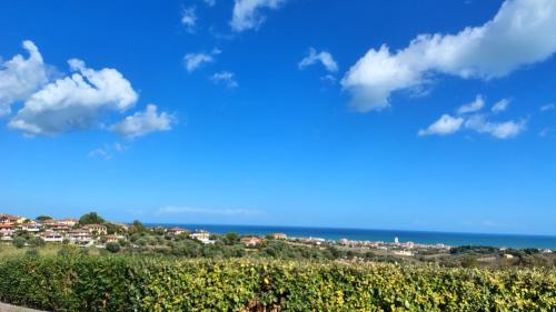 Příroda nedaleko penzionu