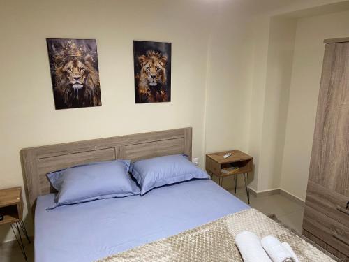 Ένα ή περισσότερα κρεβάτια σε δωμάτιο στο Kithra