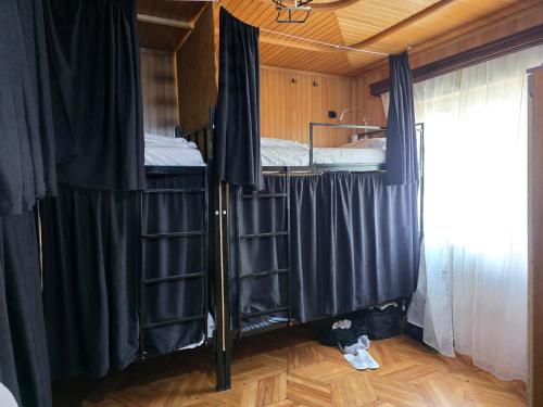 Fotografie z fotogalerie ubytování My Hostel with Palm v destinaci Batumi