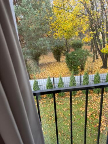 Сад в Izabelės apartamentai