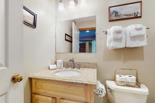 a bathroom with a sink and a toilet and a mirror at Timber Creek #100 in Podunk