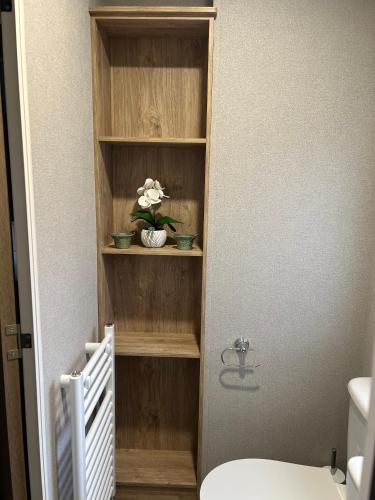 a bathroom with a toilet and a shelf with a plant at Modern Caravan 2025 with Decking in Morecambe