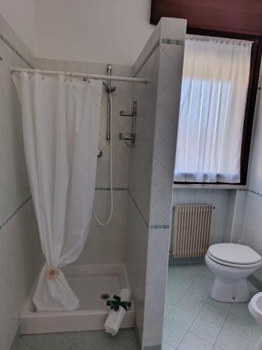 ein Badezimmer mit Dusche und Toilette in der Unterkunft Al Centrale in Alano di Piave