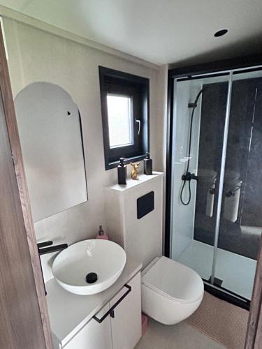 a bathroom with a sink and a toilet and a shower at Chalet Tiny & Campagne in Onnion