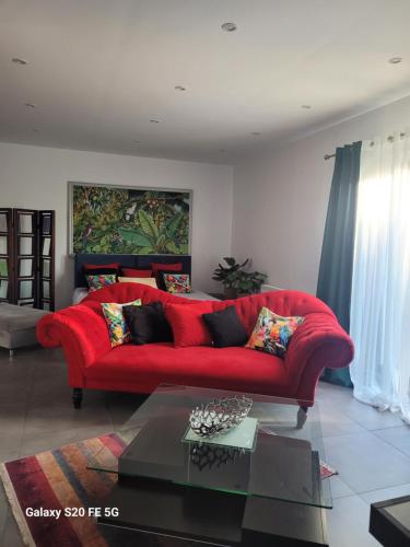 Apartament pod Papugami