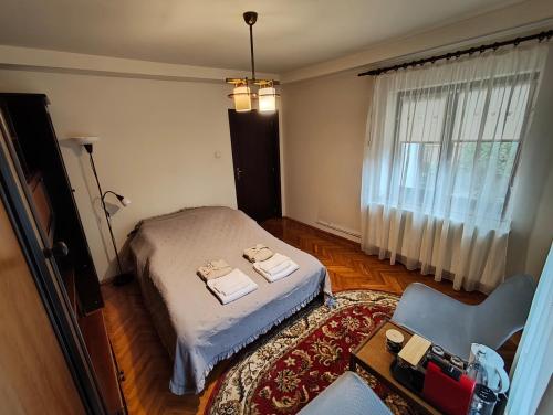 a bedroom with a bed and a chair and a window at Casa Paul in Craiova