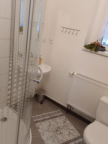 a white bathroom with a shower and a toilet at Podhradí 24 in Jáchymov