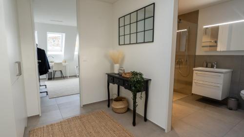 Ένα μπάνιο στο Modern apartment next to Zurich HB with roof terrace