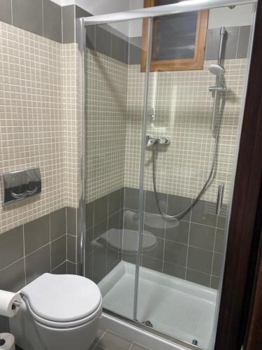 Un baño con inodoro y ducha de cristal. en Ca' Dei Sassi, en Sequsino