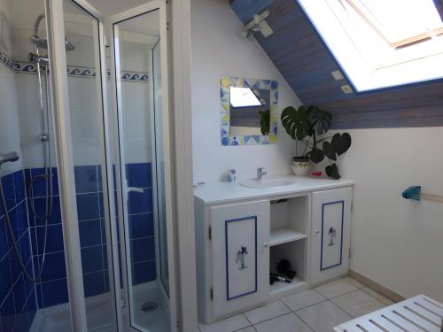 een badkamer met wastafel en douche bij Gite Chez Balum - 2 Proche Lourdes in Lézignan