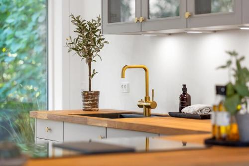 a kitchen counter with a sink and a plant at Architect-Designed Holiday Home Close To The Water in Marielyst