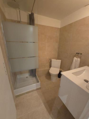 une salle de bains avec toilettes et lavabo dans l'établissement Appartement Arles 35 m2, à Arles