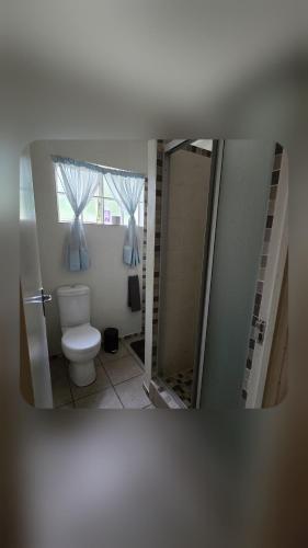a bathroom with a toilet and a shower and a mirror at Bunkers Accomodation in Underberg