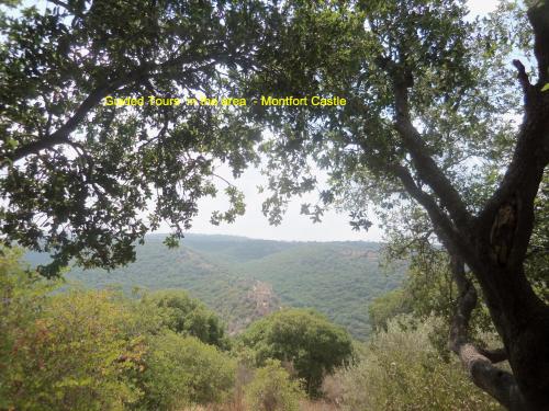 Gallery image of Zimmer Frey Manot in Manot