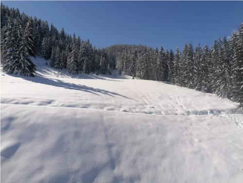 einen schneebedeckten Hang mit Bäumen im Hintergrund in der Unterkunft Ski In-Out - Heart of Val Thorens Beautiful View, WiFi in Val Thorens
