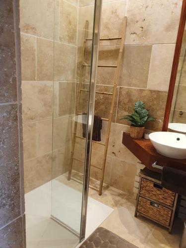 a bathroom with a glass shower and a sink at villa Droizy in Droizy