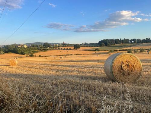 ein Feld mit Heuballen auf einem Feld in der Unterkunft Trasimeno Holiday Home in Castiglione del Lago