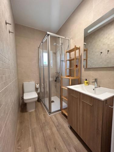ein Badezimmer mit Toilette, Waschbecken und Dusche in der Unterkunft Las Calas departamento ideal! in Sotillo de la Adrada