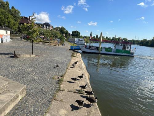 Galeriebild der Unterkunft Shumiland in Frankfurt near Messe, Airport in Frankfurt am Main